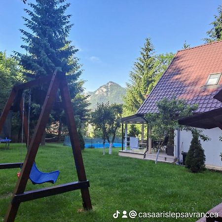 Casa Aris Lepsa Vrancea Hotel Eksteriør billede