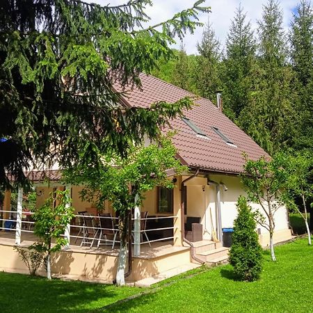 Casa Aris Lepsa Vrancea Hotel Eksteriør billede