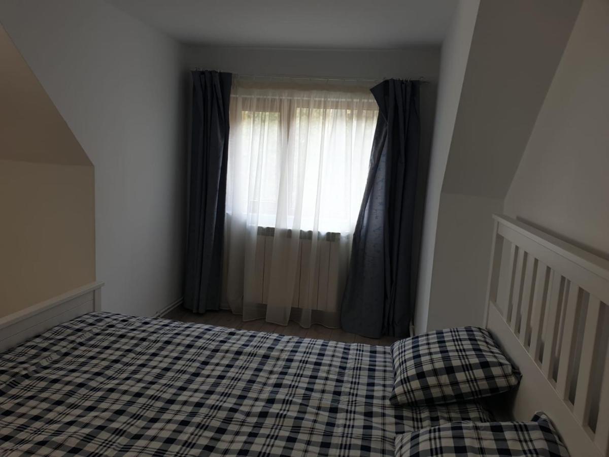 Casa Aris Lepsa Vrancea Hotel Eksteriør billede