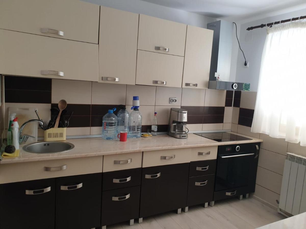 Casa Aris Lepsa Vrancea Hotel Eksteriør billede