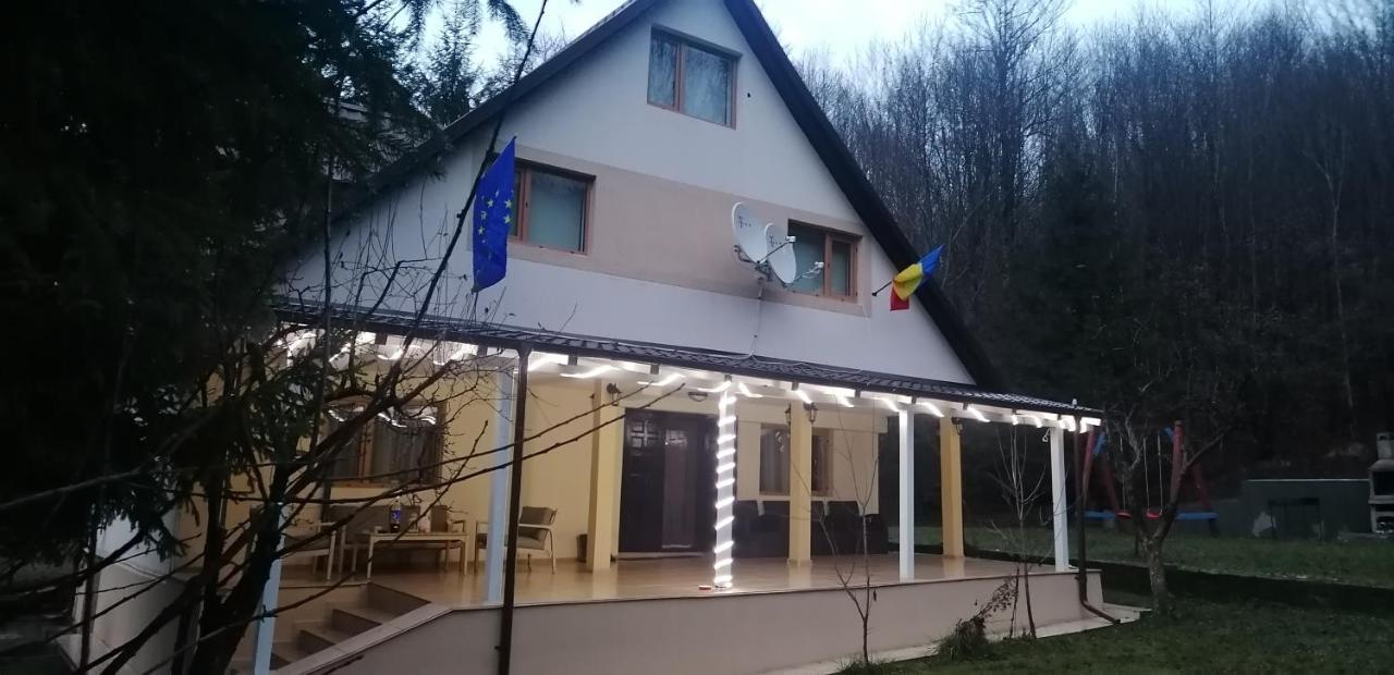 Casa Aris Lepsa Vrancea Hotel Eksteriør billede