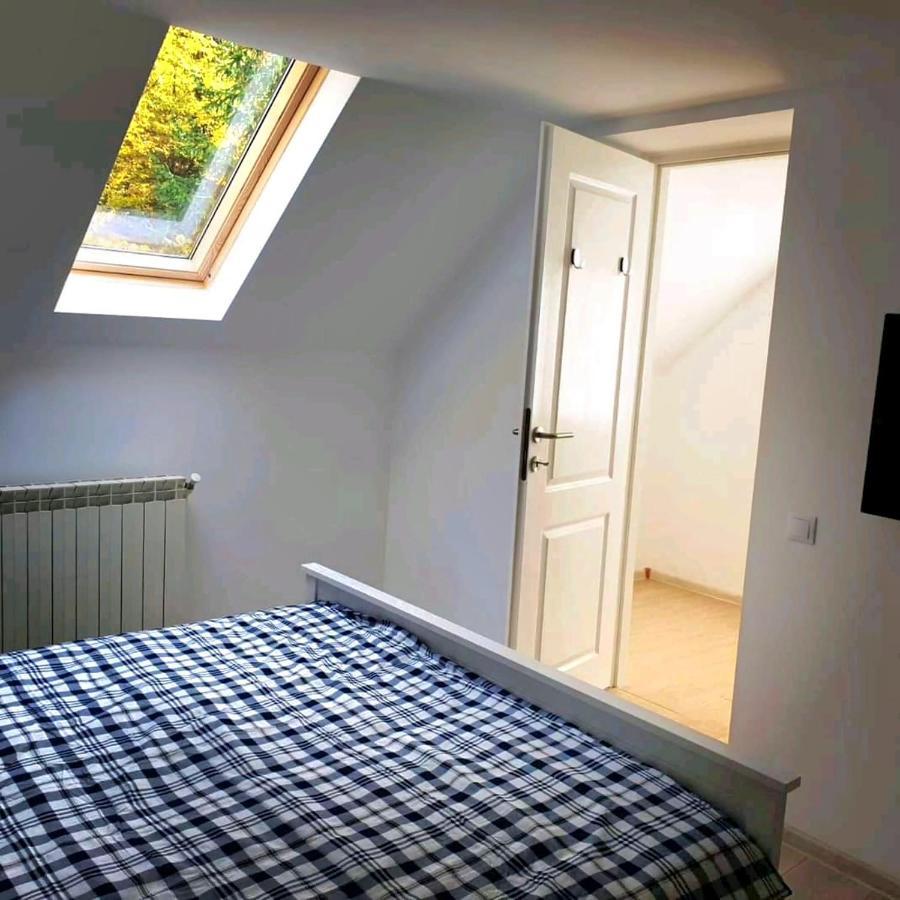 Casa Aris Lepsa Vrancea Hotel Eksteriør billede