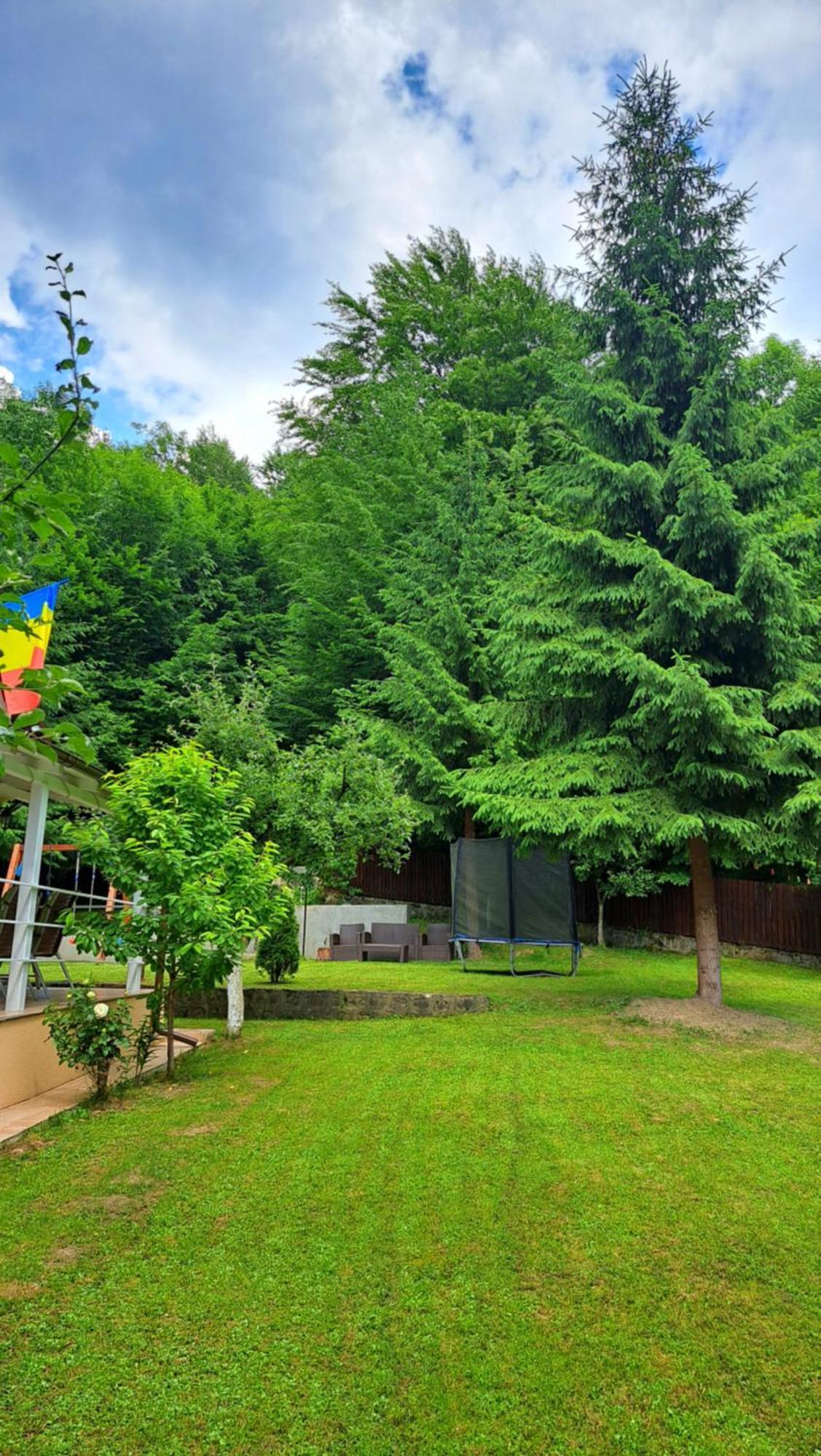 Casa Aris Lepsa Vrancea Hotel Eksteriør billede