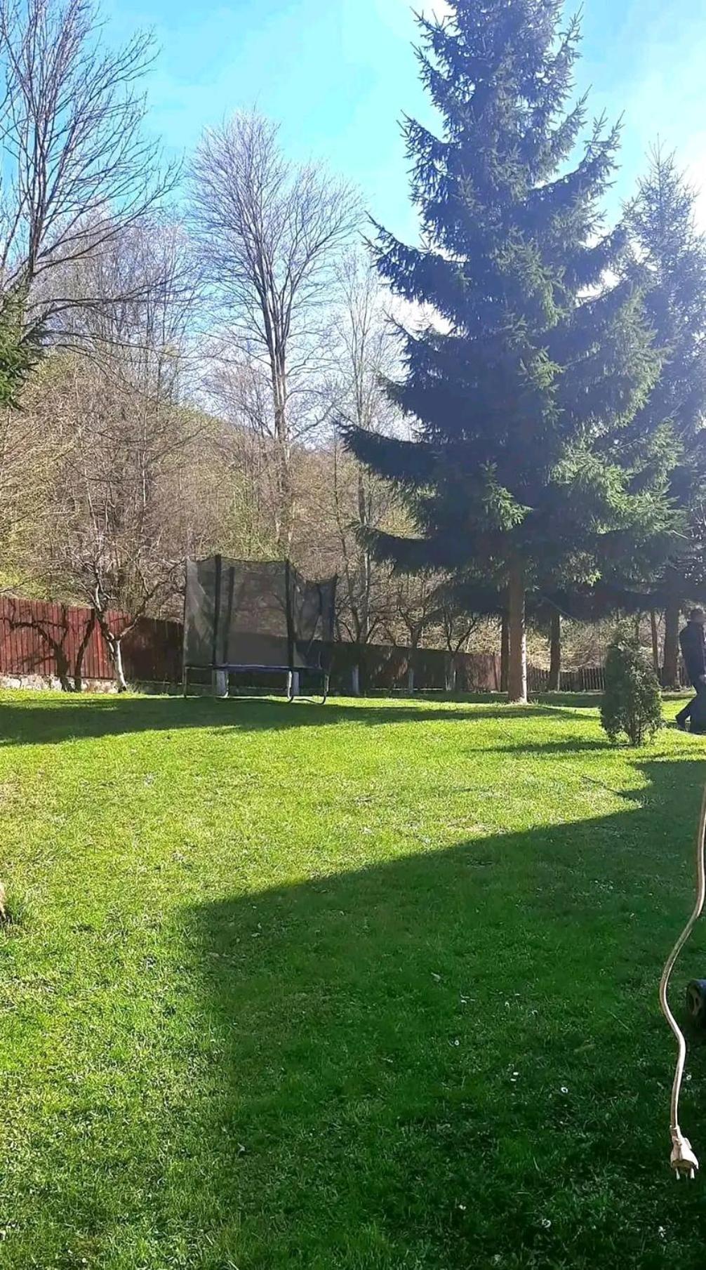 Casa Aris Lepsa Vrancea Hotel Eksteriør billede