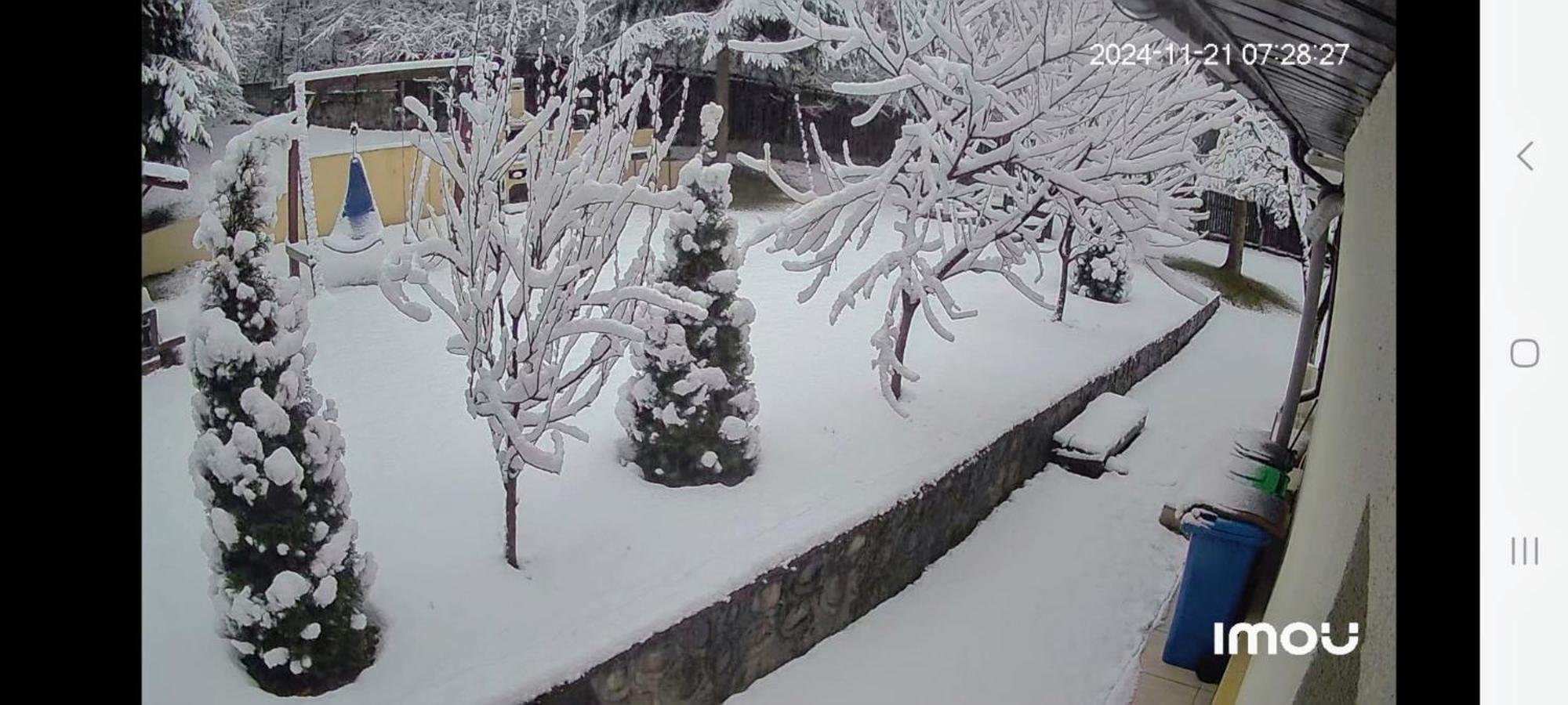Casa Aris Lepsa Vrancea Hotel Eksteriør billede