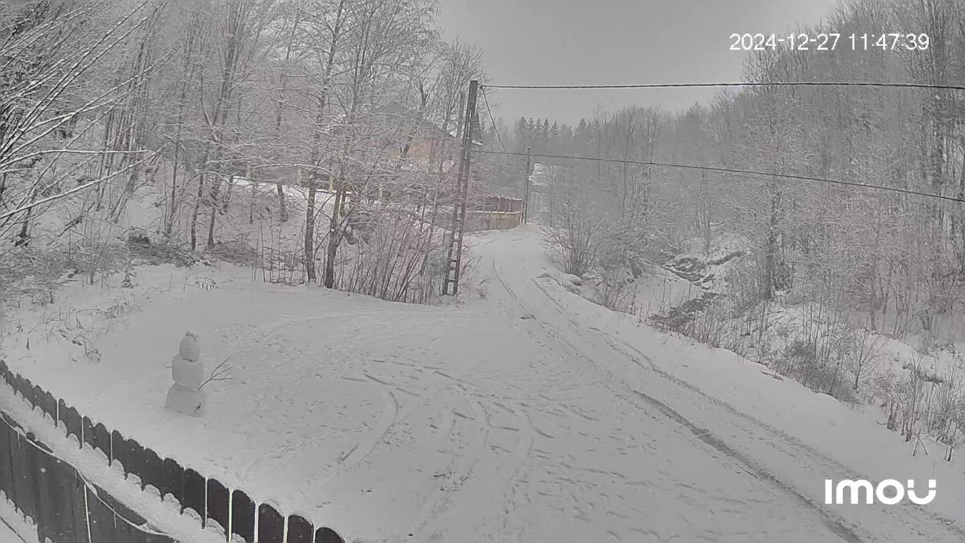 Casa Aris Lepsa Vrancea Hotel Eksteriør billede